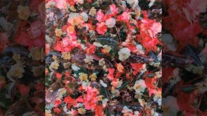 Автоспорт - Пожалуйста, только не домой