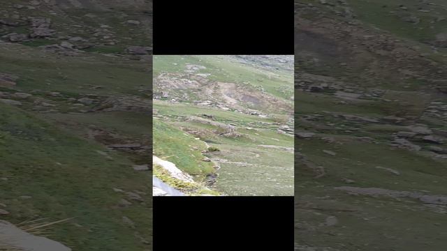 горы Дагестана 4 смотреть онлайн