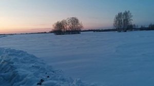 Мтз с отвалом бабочка. Снегозадержание 2023.