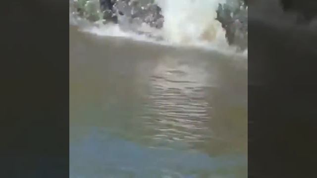 Охота ягуара смотреть онлайн