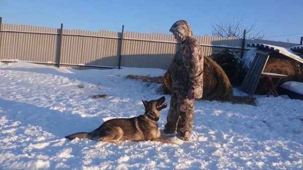 Carbon vom Bergmanns-Weg