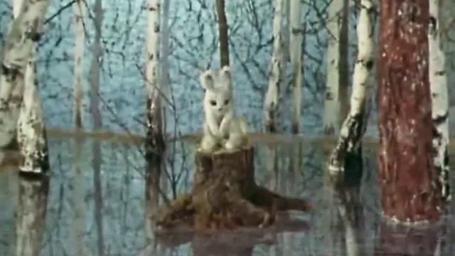 Дед Мазай и зайцы.flv смотреть онлайн