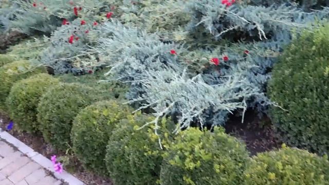 Атаманская усадьба или Казачий Курень (Ростов) смотреть онлайн