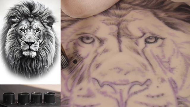Lion Tattoo Tutorial - Realistic Portrait смотреть онлайн