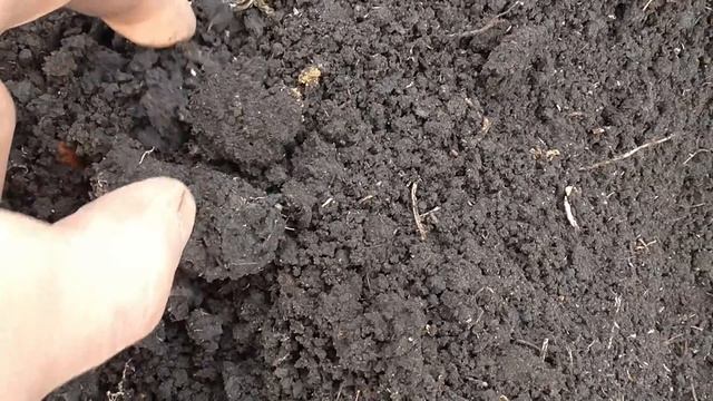 ПОИСК КЛАДА В РАСПАХАННОМ САДУ. смотреть онлайн