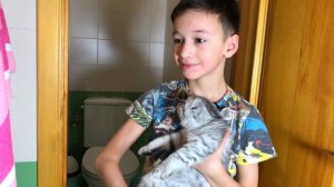 Задание для Артура! Потеряли Любимых Котят! Для детей Kids Children