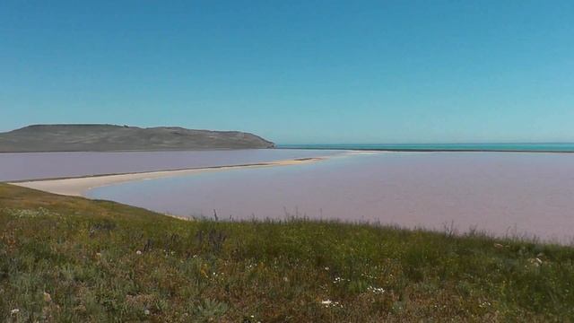 Кояшское озеро в Крыму: то самое розовое озеро! смотреть онлайн