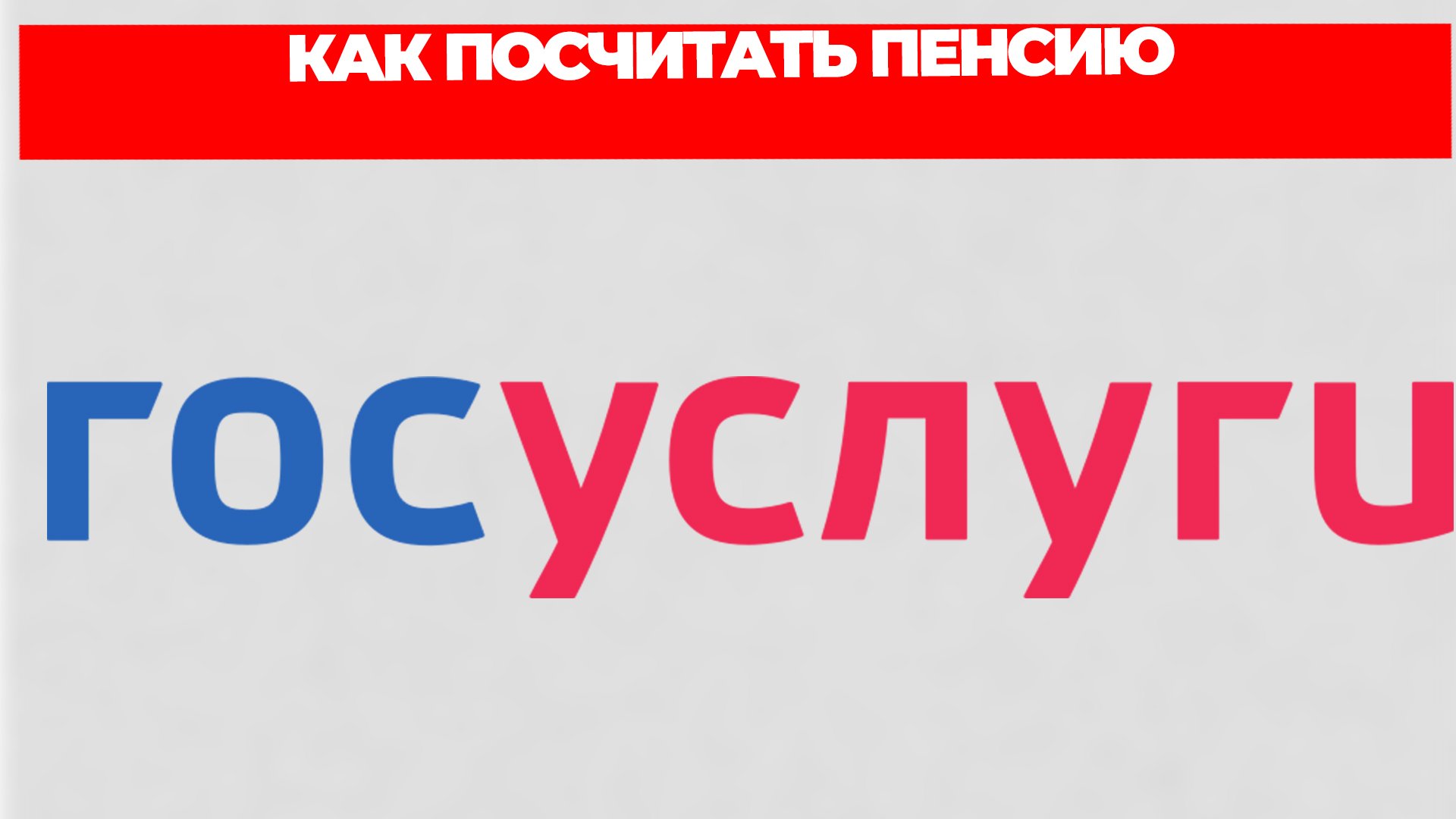 Всезнающий Енот