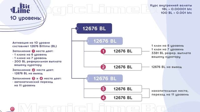 BitLime бонусно-накопительная программа компании Magic Lime Academy по партнерской программе смотреть онлайн