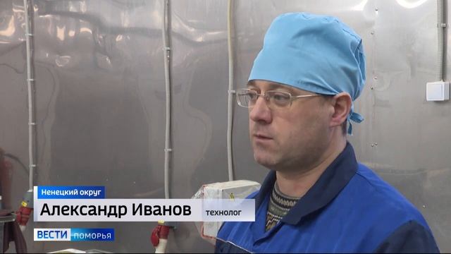 В Ненецком округе завершается кампания по заготовке мяса северного оленя смотреть онлайн