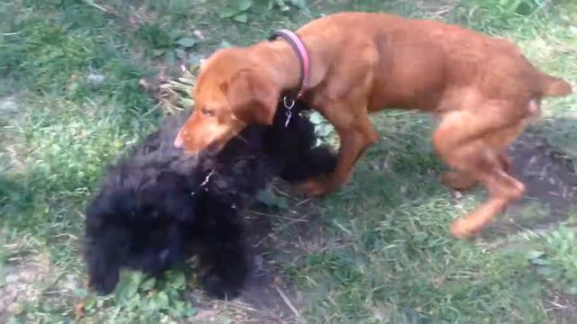 vijla da balonka смотреть онлайн