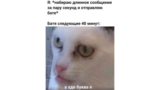 Приколы с котами. Что есть у котика | Мемозг #295 смотреть онлайн