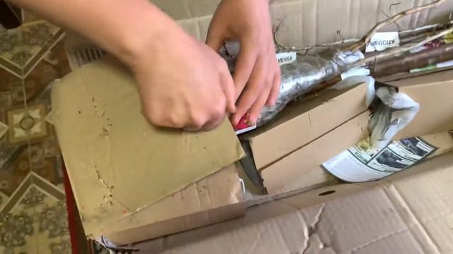 Открываем посылку с Агромаркета, распаковка и обзор смотреть онлайн