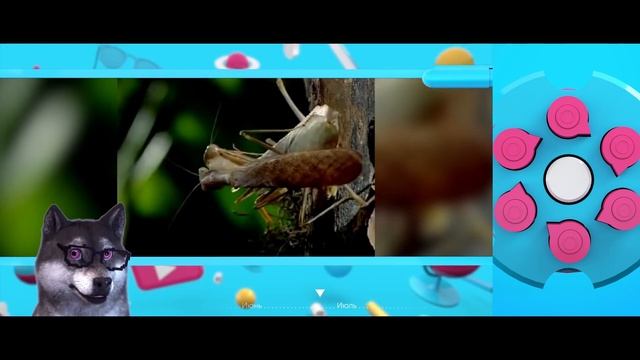 #0. Один год за 4 минуты. смотреть онлайн