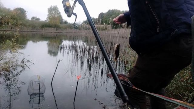 Рыбалка на поплавок в октябре / Большие ротаны на сало. смотреть онлайн