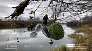 Прогулка по осенней реке со спиннингом.