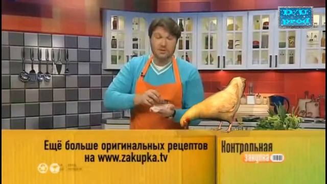 Трольная запупка 2 Капротошка RYTP смотреть онлайн