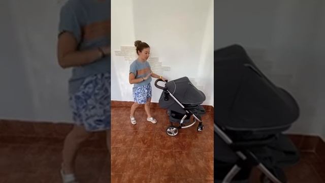 Прогулочная коляска Carrello Vista смотреть онлайн