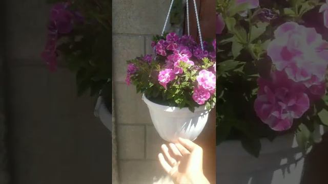 ХОТИТЕ ПОЛИТЬ АЗОТНЫМ УДОБРЕНИЕМ. СНАЧАЛА ПОСМОТРИТЕ ЭТО ВИДЕО смотреть онлайн