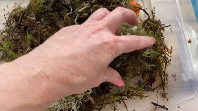 Макияж по новому, лайфхак ???Кто победил?