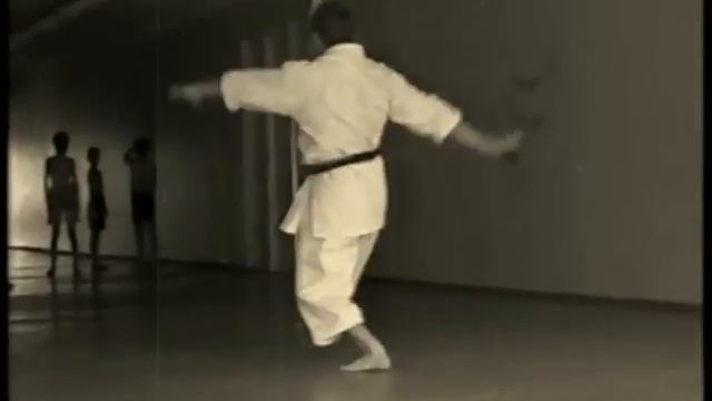 Михаил Шилов. Ката Мейкё Шодан (фудокан). смотреть онлайн