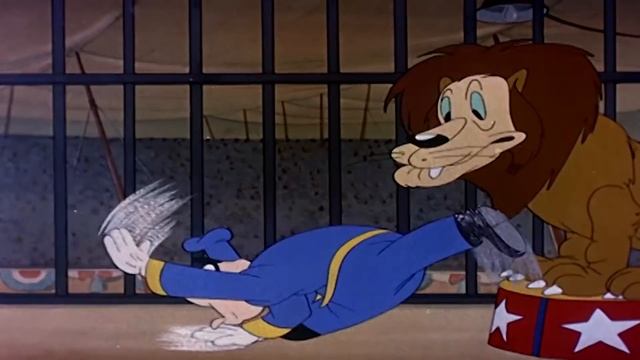 El Pájaro Loco en Español | El Pájaro Loco Jantar fora | Dibujos Animados смотреть онлайн