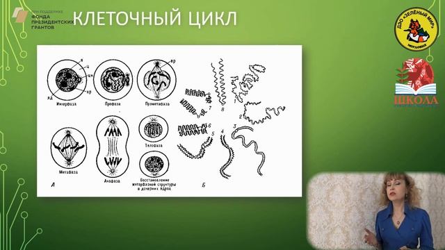 Школа юного исследователя. Занятие 1. "Исповедь непокорной молекулы" смотреть онлайн