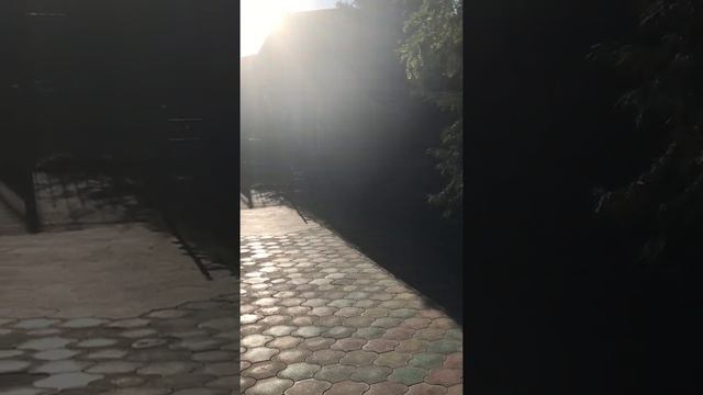 Не просите милостыню! смотреть онлайн