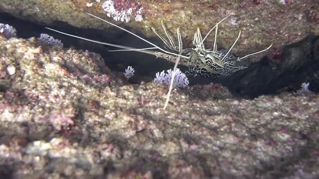 Путешествие в Оман смотреть онлайн