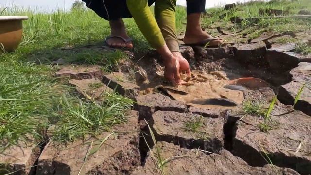 Dry Season Adventures: Hand Fishing Tactics for Catching Monster Redfish in Underground Waters! смотреть онлайн