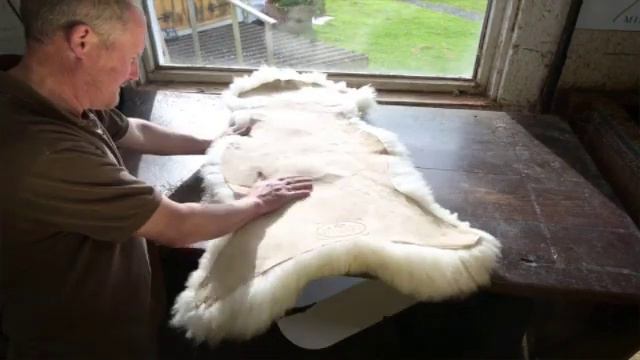 The Mimosa Collection смотреть онлайн