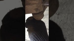 Восстановить шаровую опору Chevrolet Cruze за 600 рублей или купить рычаг в сборе за 6 000?