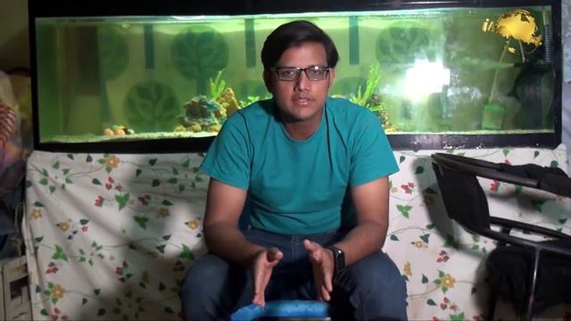 Question & Answer Session Pitbull Dog & Polish Silkie Hen vlogs Jamshed Asmi Informative Channel смотреть онлайн