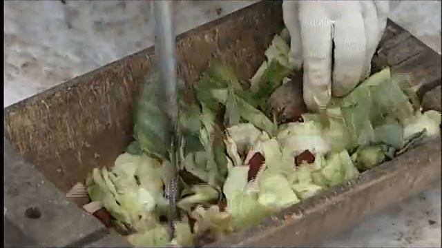 Северный олень живёт в Ижевске смотреть онлайн