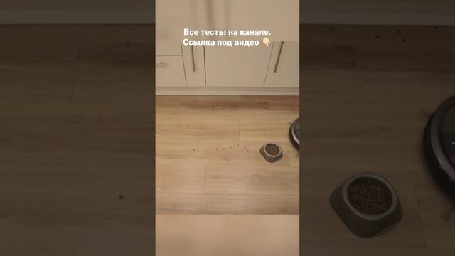 Что будет, если оставить корм перед роботом-пылесосом? ? #бюджетныйроботпылесос #тестробота #робот смотреть онлайн