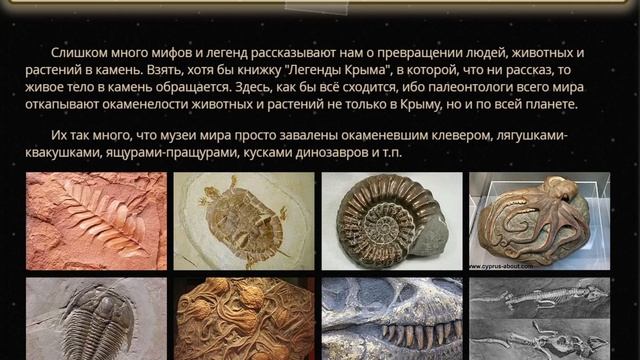 На ЗЕМЛЕ ЛЕСОВ Нет. 30-метровые КУСТЫ в виде ДЕРЕВЬЕВ. КРЕМНИЕВАЯ ЭРА. Окаменевшие ОРГАНИЗМЫ Часть смотреть онлайн