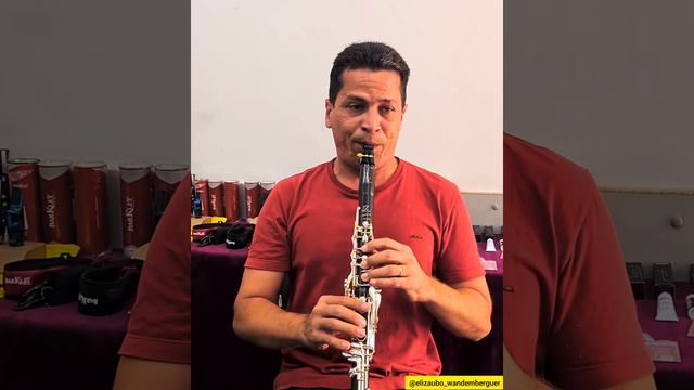 RZ CAPRICCIO Clarinet #rzclarinet #rzcapriccio смотреть онлайн