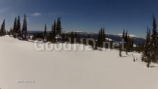 SM-01-02-2019I смотреть онлайн