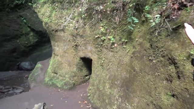 Канарские ост-ва. " ВОДОПАД " Удивительная ПРИРОДА - лес, горы, красота. смотреть онлайн