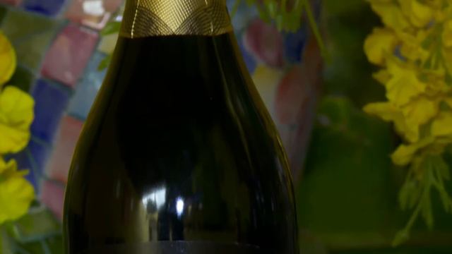 Salton frisante смотреть онлайн