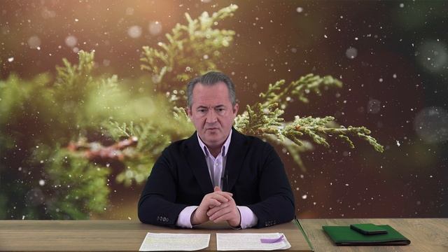 Налоговые проверки для физических лиц и ИП на 2022 смотреть онлайн