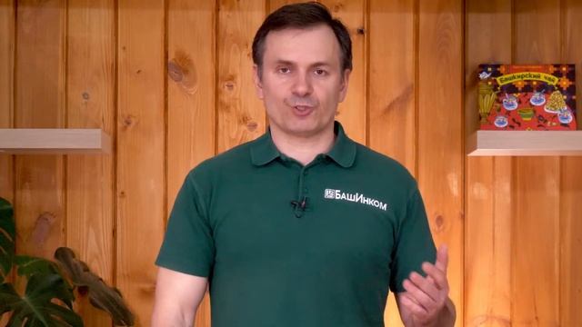 Школа ОЖЗ. 500 кг картофеля с сотки. Первый шаг: яровизация, подготовка клубней смотреть онлайн