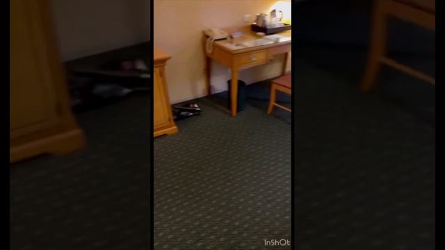 Виталий Реутов РумТур по номеру Номер 19.000 5 звёзд ) Цена пельменей звёздочном отеле Москвы смотреть онлайн
