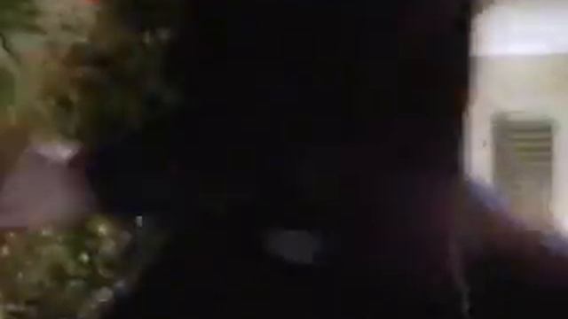 Chuck Norris Vs Massive Guy