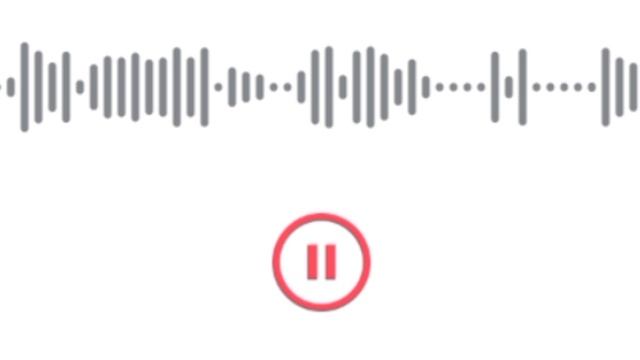 Обращение жителей к подписчикам Димы 🤫