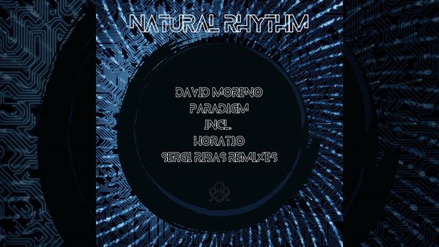 Paradigm (Sergi Ribas Remix)