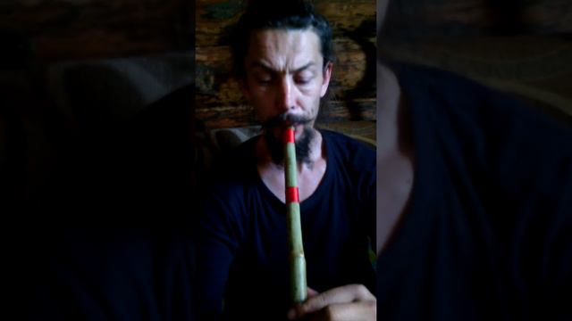 СЯО 73 смотреть онлайн