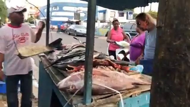 Доминикана. La Romana. Рыба:) смотреть онлайн