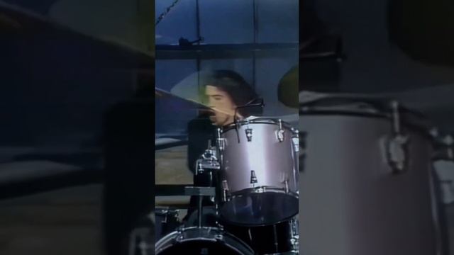 Territorial Pissings NIRVANA Live @ The paramount #legend ##nirvana #territorialpissing #kurtcobain смотреть онлайн