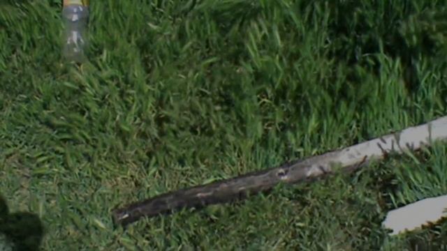 ЛОВИМ РЫБУ РУКАМИ/ПОЙМАЛ МИДИЮ смотреть онлайн